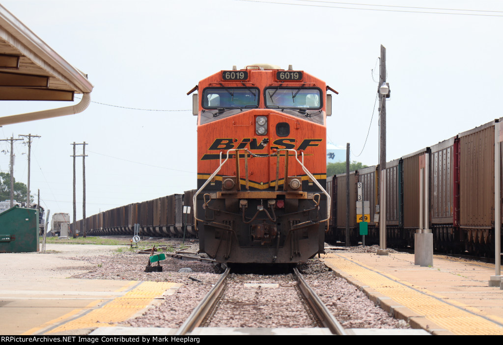 BNSF 6019